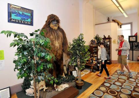 The International Cryptozoology Museum In Maine Is Not For The Faint Of Heart