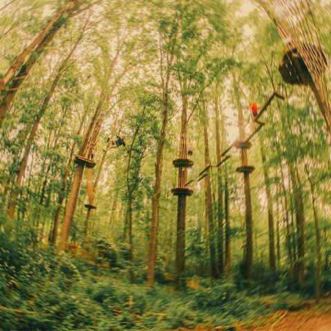 There’s An Adventure Park Hiding In The Middle Of A Delaware Forest And You Need To Visit