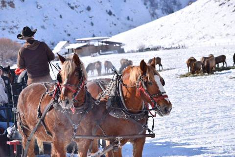 The Unique Ranch Everyone In Utah Should Visit This Winter