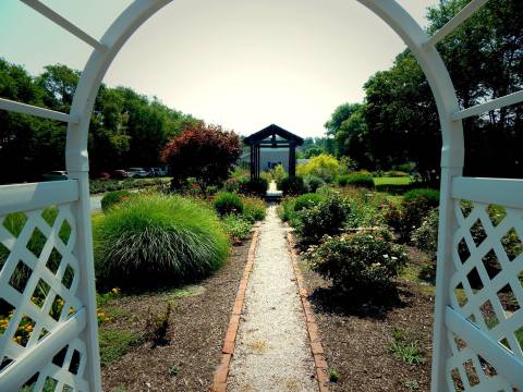 The Beautiful Lavender Farm Hiding In Plain Sight In Delaware That You Need To Visit