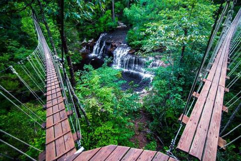 An Adventure Park Hiding In The Middle Of A North Carolina Forest, ZipQuest Is A Must-Visit