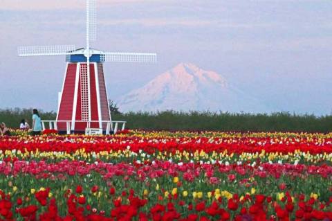 You Don't Want To Miss This One Of A Kind, Enchanting Festival In Oregon