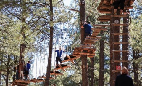 An Adventure Park Hiding In The Middle Of An Arizona Forest, Flagstaff Extreme Is Worth A Visit