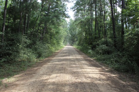 Stay Away From Texas' Most Haunted Street After Dark Or You May Be Sorry