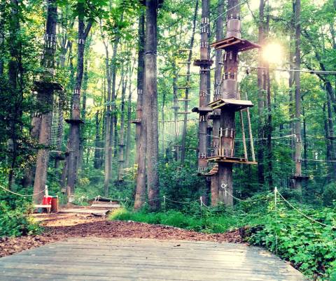 An Exciting Adventure Park In Maryland, Sandy Spring Is A Fun-Filled Outing