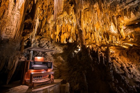 Travel | Virginia | Adventures | Caves | Nature