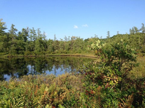 If You Live In Cleveland, You Must Visit This Amazing State Park