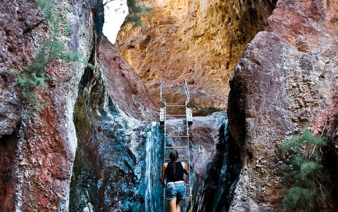 Everyone In Nevada Should Visit This Epic Natural Spring As Soon As Possible