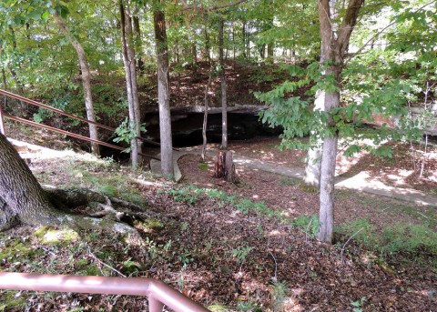 Hiking To This Aboveground Cave In Mississippi Will Give You A Surreal Experience