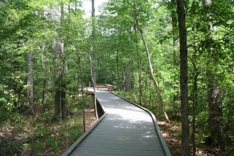 11 Underrated Trails In Louisiana You Can Explore Anytime Of Year