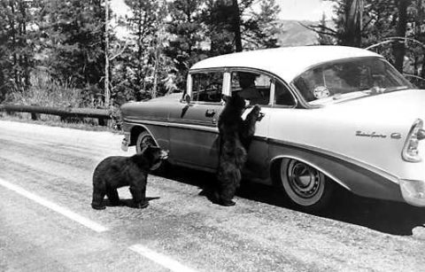 18 Rare Photos From Wyoming That Will Take You Straight To The Past