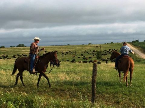 15 Incredible Trips In Nebraska That Will Change Your Life