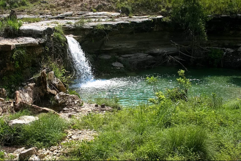 There’s An Adventure Park Hiding In The Middle Of A Texas Forest And You Need To Visit