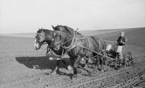 These 27 Rare Photos Show Iowa’s Farming History Like Never Before