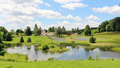 The Beautiful Lavender Farm Hiding In Plain Sight In Maryland That You Need To Visit