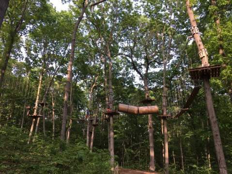 There's An Adventure Park Hiding In The Middle Of A New York Forest And You Need To Visit