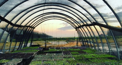 There’s A Bakery On This Beautiful Farm Near New Orleans And You Have To Visit