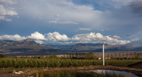 There’s a Winery On This Beautiful Farm In Colorado And You Have To Visit