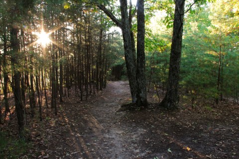 There’s An Adventure Park Hiding In Nashville And You Need To Visit