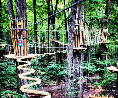 There’s An Adventure Park Hiding In The Middle Of An Indiana Forest And You Need To Visit