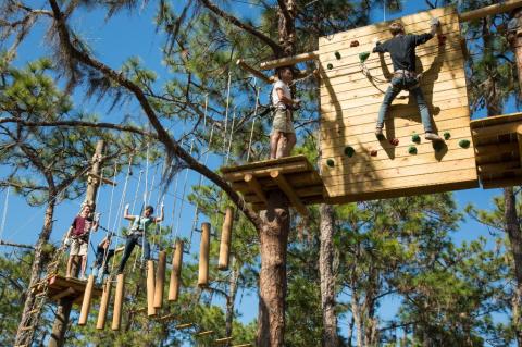 There’s An Adventure Park Hiding In The Middle Of A Florida Forest And You Need To Visit