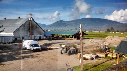 You’re Guaranteed To Love A Trip To This Epic Cheese Farm In Washington