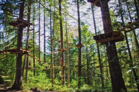 There’s An Adventure Park Hiding In The Middle Of An Oregon Forest And You Need To Visit