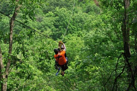 There’s An Adventure Park Hiding In The Middle Of An Illinois Forest And You Need To Visit