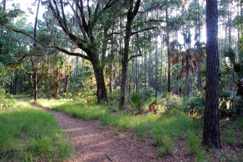 These 8 Trails In Georgia Will Lead You To Extraordinary Ancient Ruins