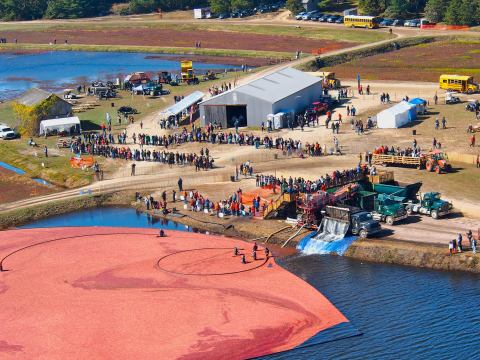 You Won't Want To Miss The Most Unique Fall Festival In Massachusetts