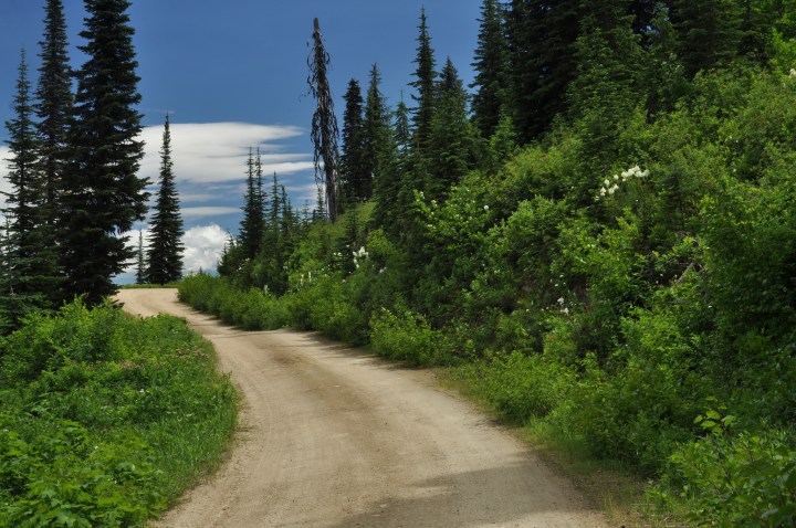 Idaho's Best Road Trips: U.S. Highway 12: the Lewis and Clark Highway