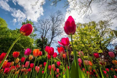 The Secret Garden In Kansas You’re Guaranteed To Love