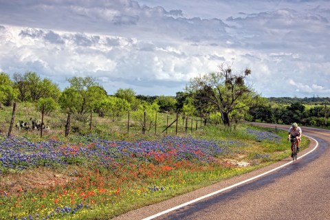 The Enchanting Scenic Drive In Texas That Everyone Should Take This Spring