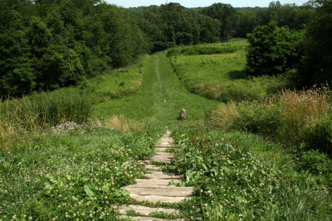 These 10 Trails In Ohio Will Lead You To Extraordinary Ancient Ruins