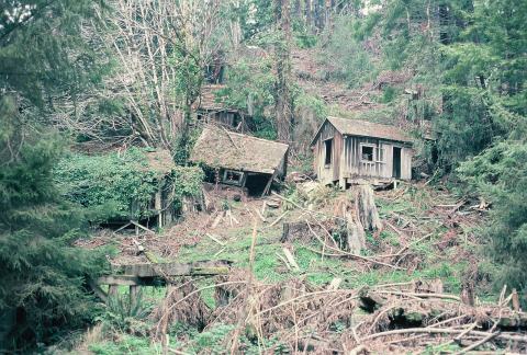 These Historic Hiking Trails In Northern California Lead You To Ruins