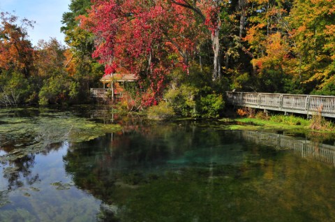 11 Reasons Why This Stunningly Underrated Georgia Park Deserves A Visit Immediately