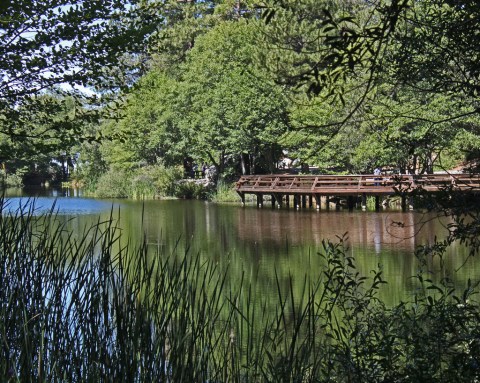 The Majestic Lake Retreat In Southern California That Will Completely Mesmerize You