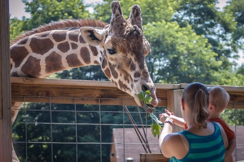 The Unique Park Everyone In Maryland Should Visit At Least Once