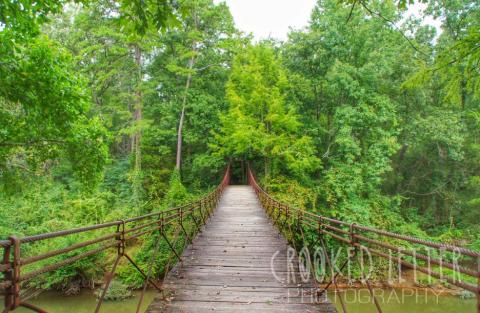 Take This Enchanted Trail In Mississippi For A Truly Magical Journey