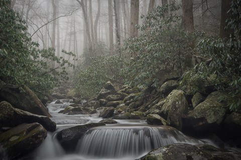 This Might Just Be The Most Beautiful Campground In All Of Tennessee