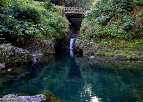 The Sapphire Natural Pool In Hawaii That's Devastatingly Gorgeous