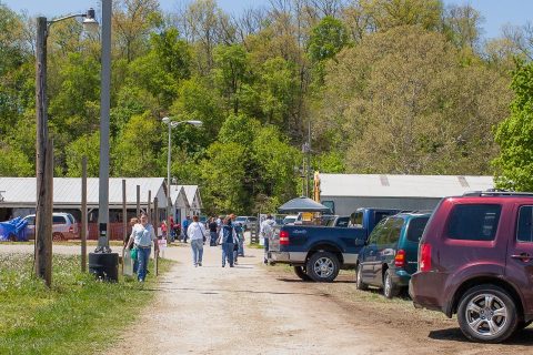 There's Nothing Better Than This Epic Festival In Indiana