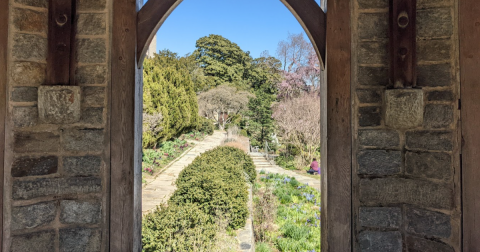 The Secret Garden In Washington DC You’re Guaranteed To Love