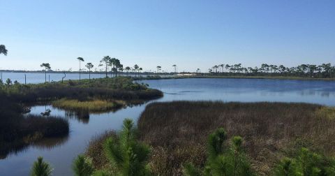 The One Place On Alabama's Gulf Coast That's Filled With The Most Breathtaking Scenery