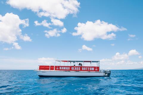 The Amazing Glass-Bottomed Boat Tour In Hawaii Will Bring Out The Adventurer In You