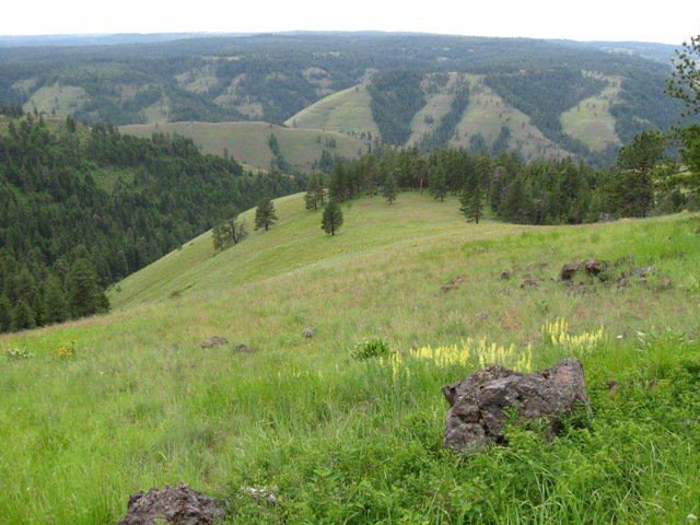 Hells Canyon - America's Deepest Canyon (Idaho)