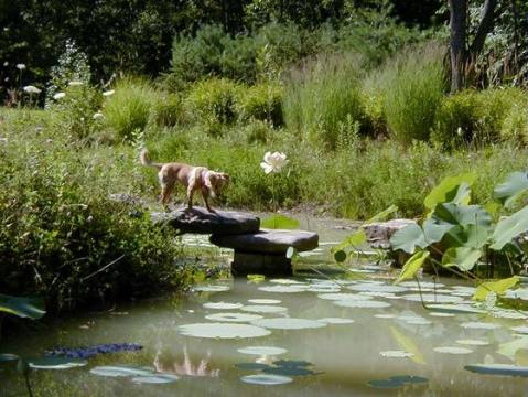 The Secret Garden In Kentucky You're Guaranteed To Love