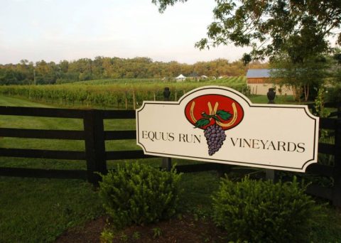 The Remote Winery In Kentucky That's Picture Perfect For A Day Trip