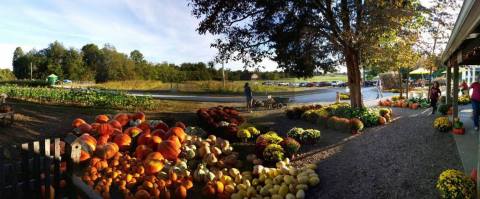 There's A Bakery On This Beautiful Farm In Kentucky And You Have To Visit