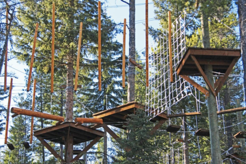 There’s An Adventure Park Hiding In The Middle Of A Montana Forest And You Need To Visit